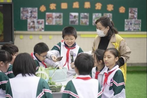 荔湾这所小学把课堂从教室搬到了天台，学生们从此爱上劳动