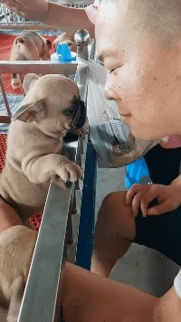 |搞笑GIF趣图哥们,就一只猫而已,至于这么害怕吗?