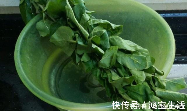 养肝护眼|它才是“护肝菜”，一周吃3次，营养极高，养肝护眼，肝脏变健康