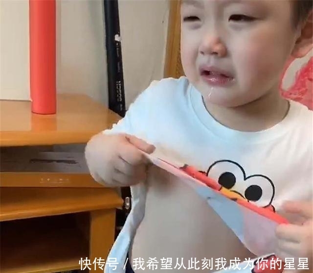 忍无可忍|二胎弟弟“挑衅”姐姐,姐姐忍无可忍撕碎弟弟“骄傲”,网友笑翻