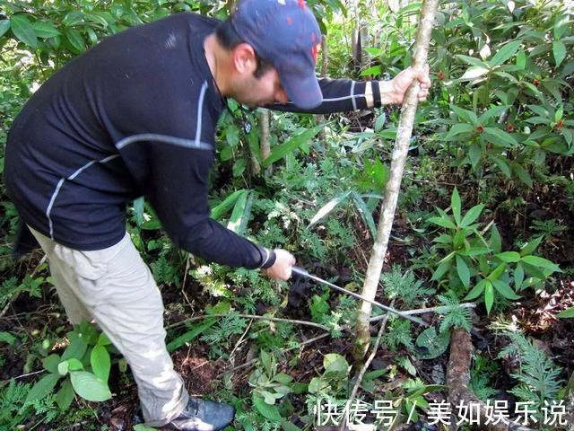 外形|驯服丛林——不同国家之外形各异的砍刀大赏