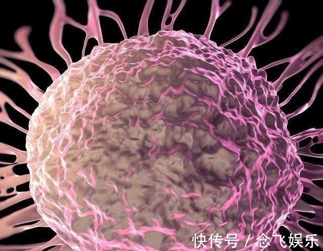 医生|癌症治好了, 为什么又复发了 肿瘤医生 这4个错犯的太多!