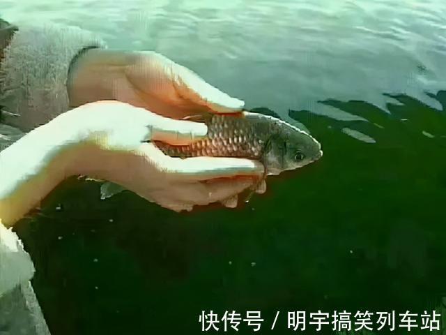 佛家#“有福之人,看心态便知”,高僧:他们往往拥有这四种心态