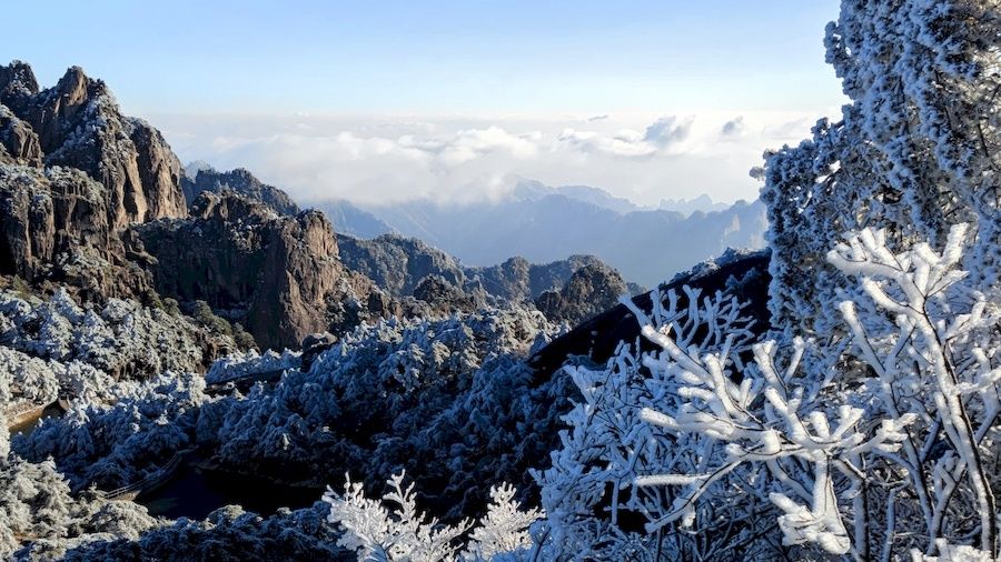 黄山风景区|零下10．3℃ 安徽黄山现大面积雾凇景观