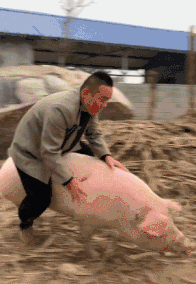 |搞笑趣图:为了给闺蜜拍个照,妹子也是够拼了