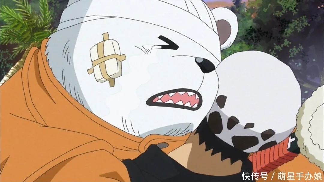 红心海贼团|《海贼王》人见人爱团宠,就连罗也被萌化的角色,贝波生日快乐