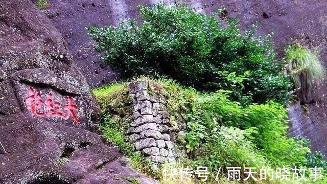 大红袍|谁才是中国最名贵的茶叶是大红袍吗