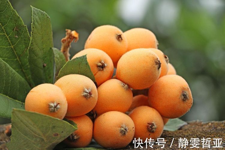 食物|聪明人爱吃3种食物，排毒养颜、延缓衰老，早吃早健康！