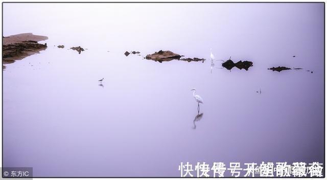 白居易!中国历史上最牛掰的诗人, 同时拥有两个霸气称谓! 傲视古今