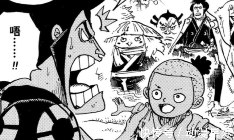 海贼王|海贼王1024话:日和带来天羽羽斩,桃之助将会上演“大辰撼”