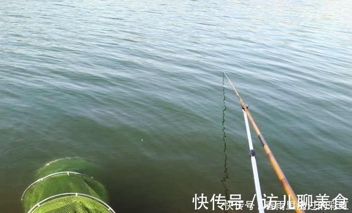 钓鱼|钓不好鲢鳙鱼,那就看看这些垂钓心得,对钓鱼帮助很大