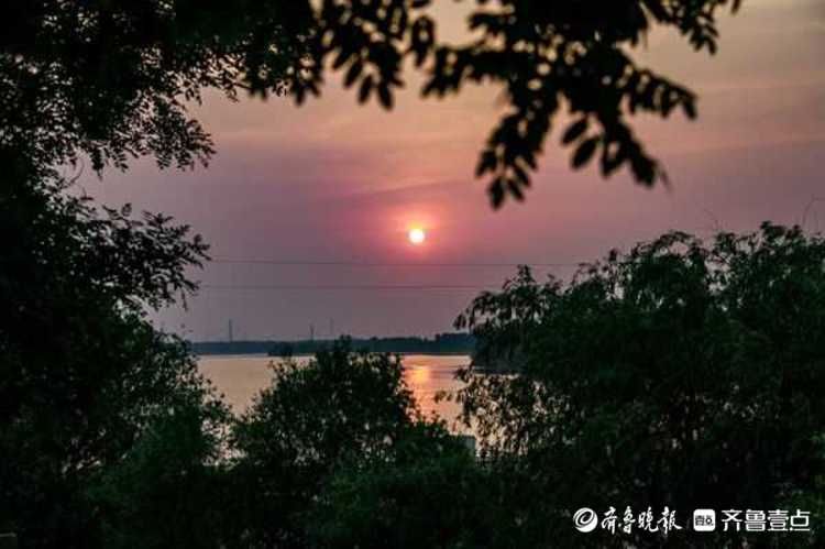 这里的落日真美！济南黄河夕阳西下绚彩多姿，红霞飞满天|情报站| 济南