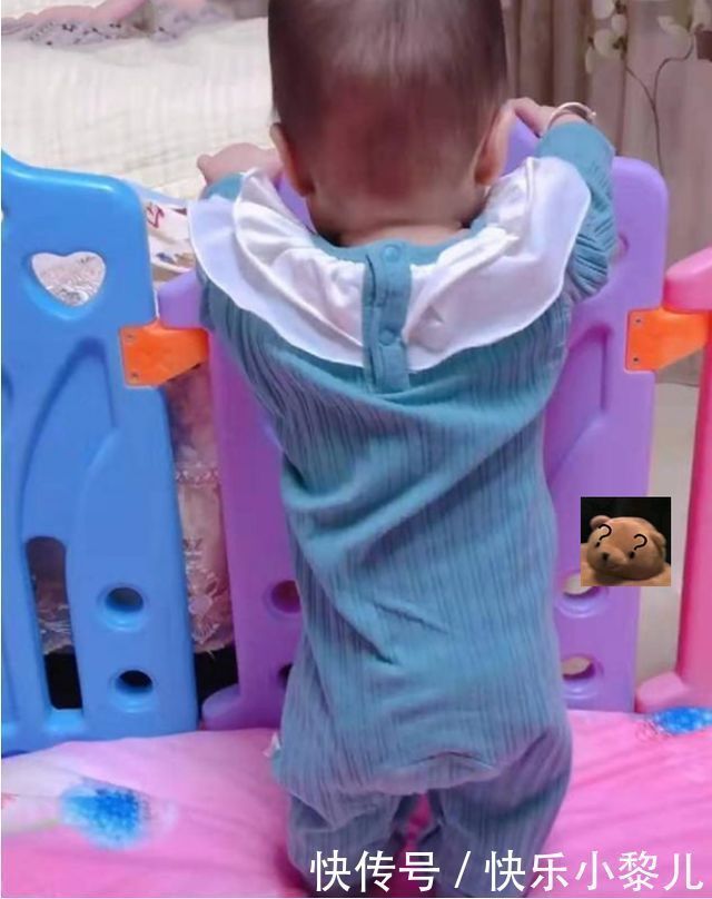“小短腿宝宝”走红,身材比例二八开,宝妈:屁股底下就是脚后跟