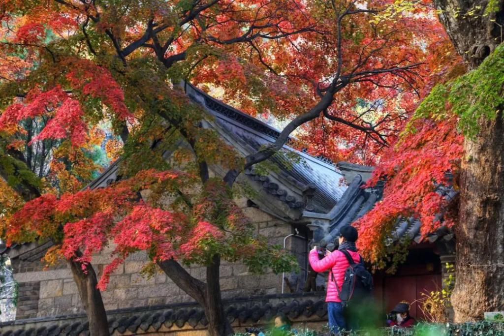 这是一封十二冬月邀请函，崂山请您准时赴约