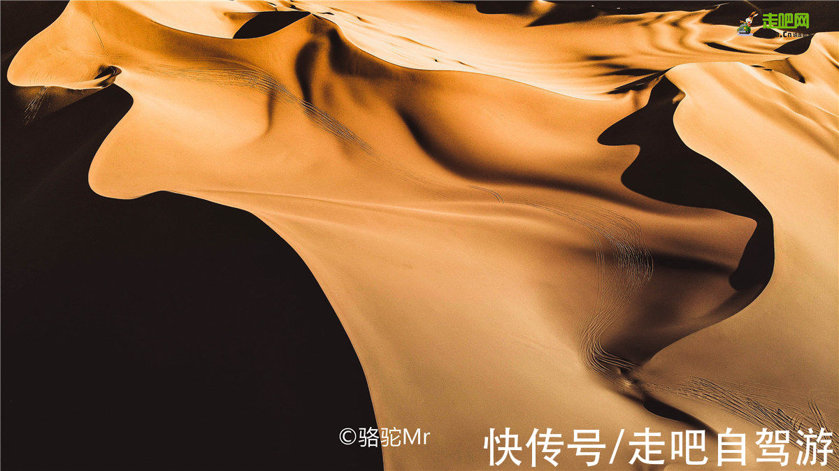 塔克拉玛干沙漠|一眼万元！国内最贵景区，一张门票3500元，外国人30万，它凭啥？