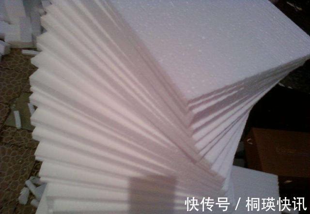 到了秋天,塑料泡沫才是养花“宝贝”,扦插生根快,养花不烂根