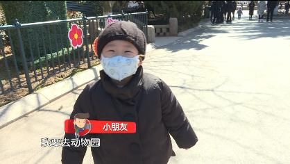 花开|迎春花开 欢度安静祥和年