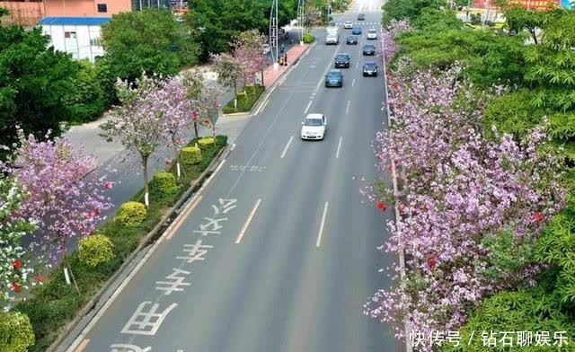 三月|花样荷城,美不胜收!