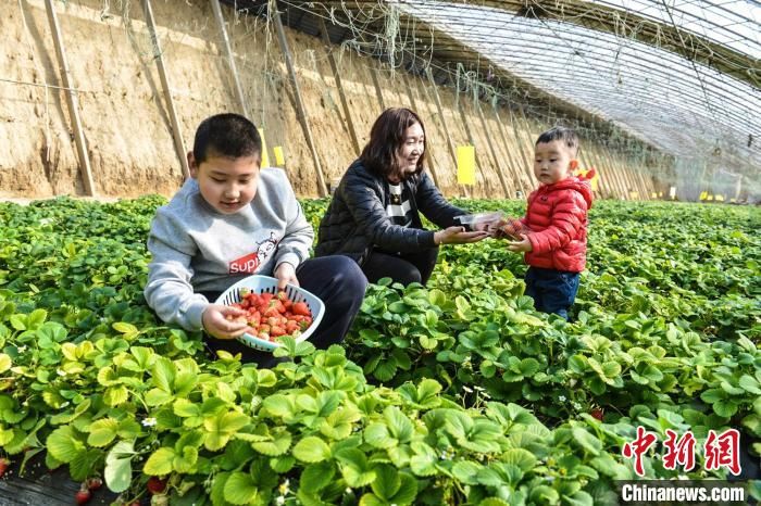 旅游|赵州桥畔“古城新说”：全域旅游视角下的千年古县