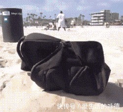 |搞笑GIF：姑娘你的头好重啊，吓着汪星人了，还能不能让它好好睡觉了