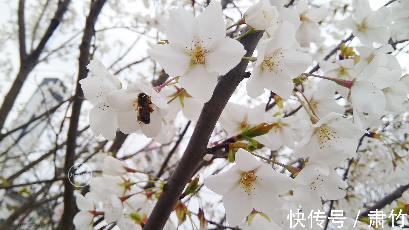 大雾|随着一场别离，伊便在大雾中隐去