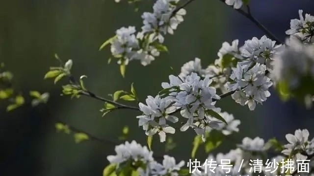 桃花|未来一周，三个星座桃花动人，爱情满溢，牵手良人，拥抱幸福