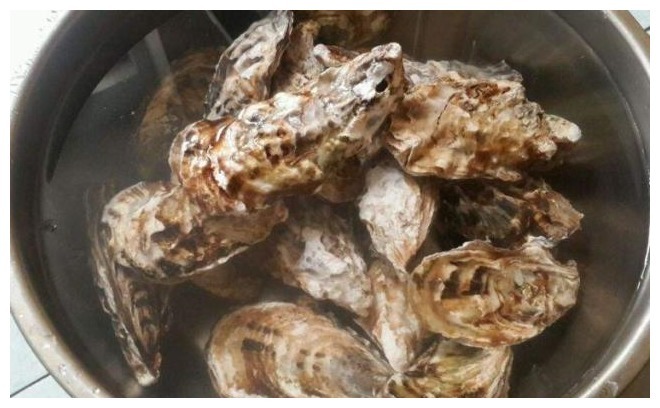 在家煮生蚝注意这1步，出锅后汁水不散，味道鲜美
