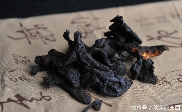 血脂|养生常备三味中药,改善气虚,补益脾肾,降低血脂