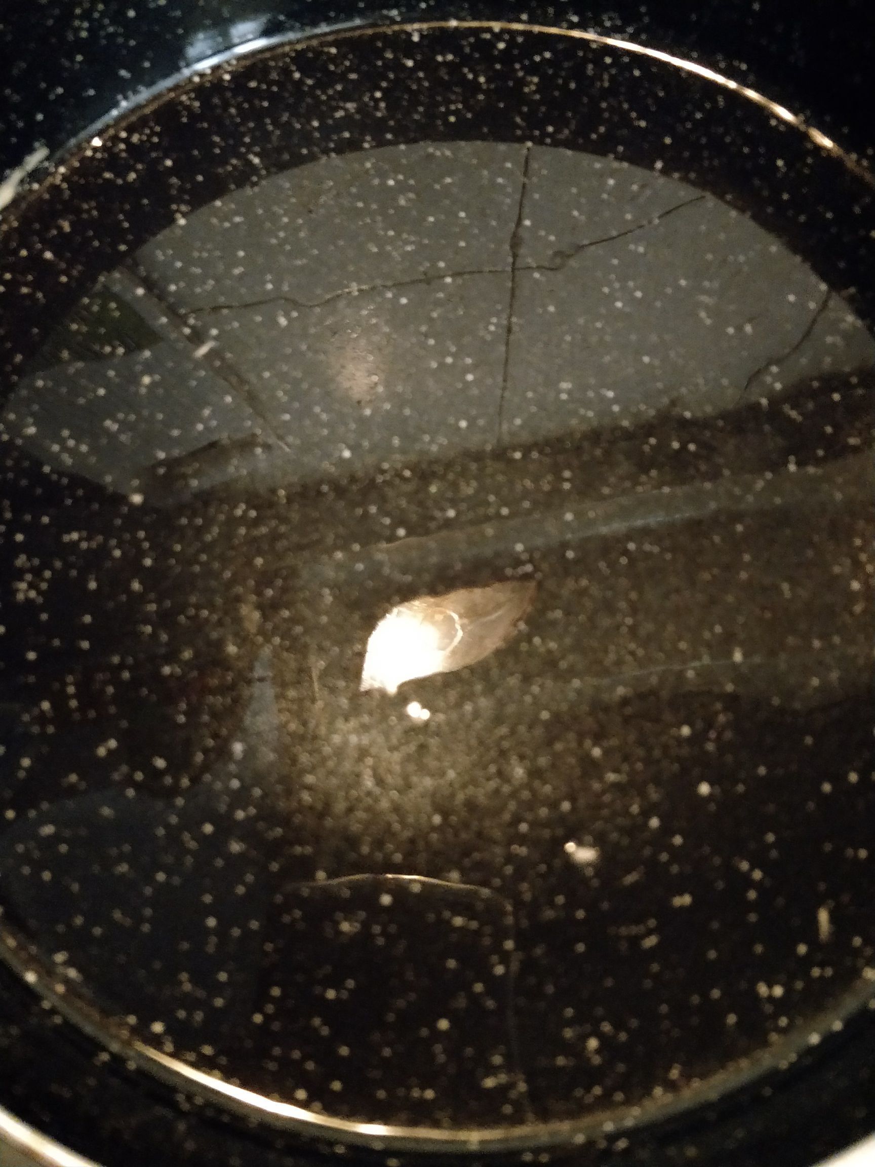 早餐只需8分钟,我家隔三差五就吃此菜,每次煎5锅不够吃