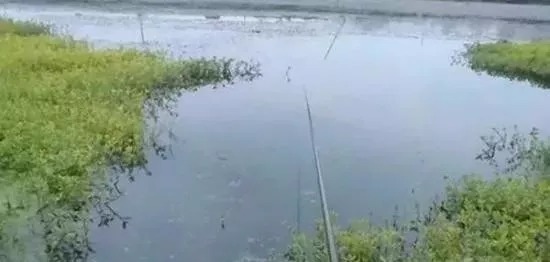 冬钓,老手只找“三个”钓位,个个藏鱼,别再说冬天没鱼