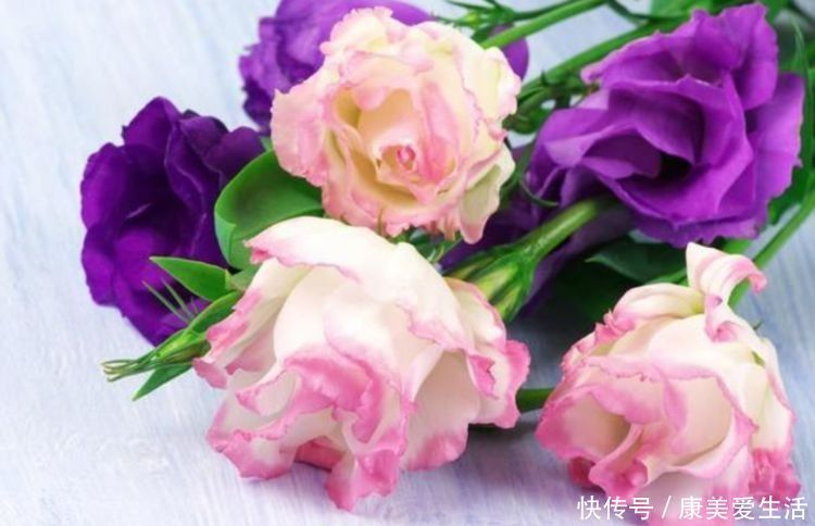 4种花适合夏天养,开花爆盆花期长,繁花似锦,花色美轮美奂