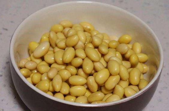 好吃|在家发豆芽好简单,只需水和豆,5天就发好,脆嫩好吃,干净卫生