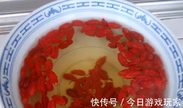 养花草不如养枸杞,平时当盆景观赏,结了果子还能食用!
