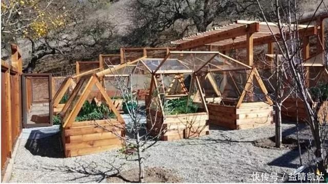 现在有个菜园才是人生赢家,450㎡可食用花园,实现你的吃货自由