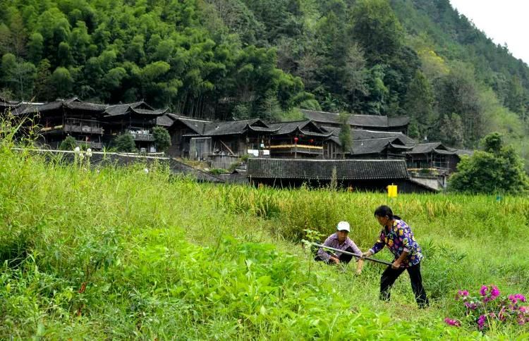 宣恩|湖北宣恩：深山古寨引客来