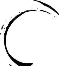 夏虫不可语冰|原来《论语》里蕴含这么多交友和学习的道理