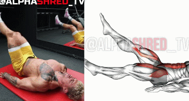 动作|7个最好的腹肌动作推荐，全方位无死角虐腹！