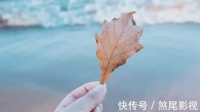 好高骛远|为什么读了一些书，会有好高骛远的感觉？