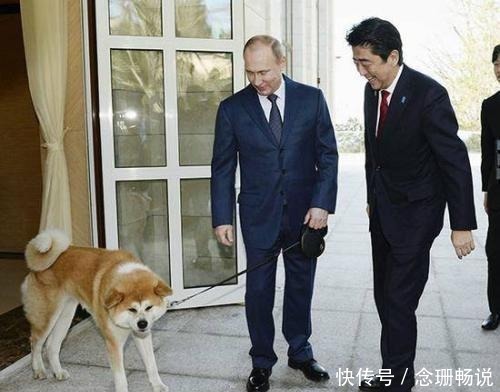 北方四岛|北方四岛问题是怎么来的,为何俄罗斯赖着不还