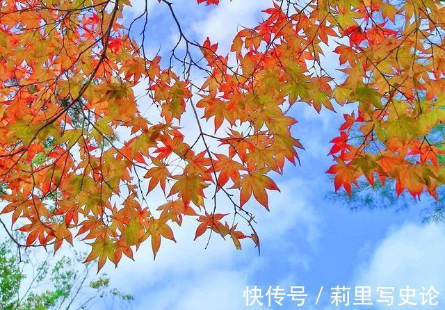 烟火$人生若沧桑,愿你诗意生活,生活若寻常,愿你欢喜度过