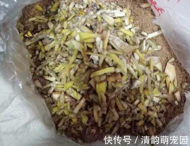 养花需要酸性土?这么一处理,好似变戏法,马上就有了