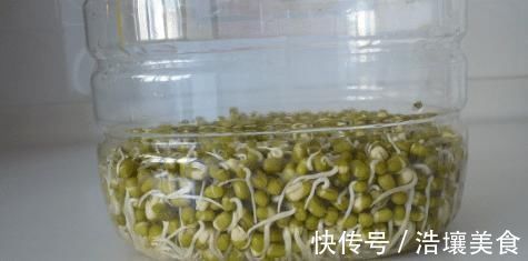 豆芽好吃不用买,教你在家发豆芽,只需一个塑料瓶,4天就可以吃