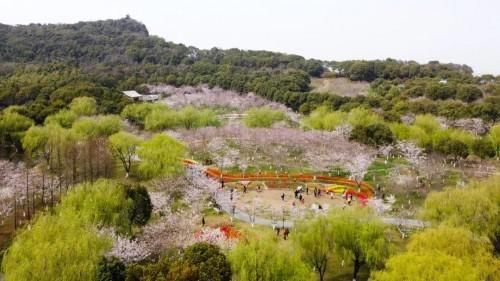 醉美四月天，“香”约双山香山