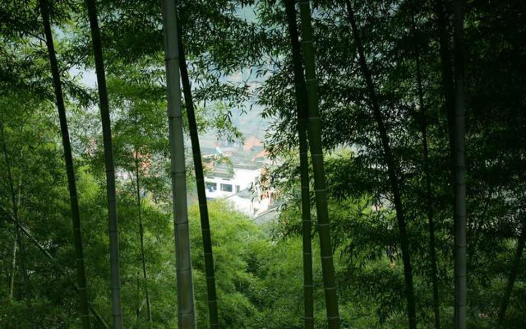 长安@王维的境界无人能及,晚年写下的这首五绝,一字一句超凡脱俗!