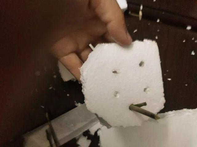 自制|扦插栀子、茉莉，使用垃圾自制“生根器”，7天冒白根，忒好养