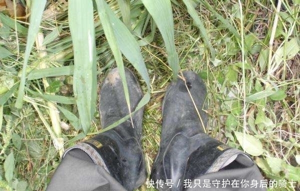 饵料|发现无人野塘，用了这个饵料，意外钓获十七斤大鲫鱼