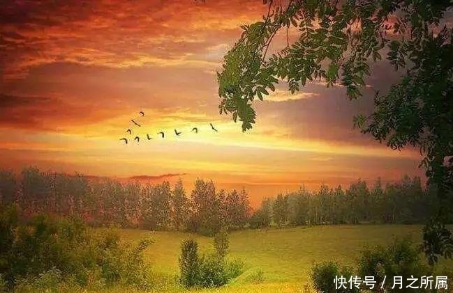 一个人|佛教:一个人,一旦有了这五种表现,说明你的福报正在减少