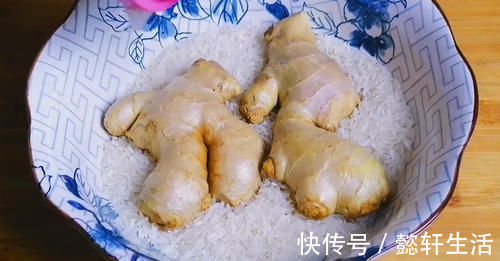 白酒|生姜能放冰箱保存吗?教你正确方法,不干瘪不生芽,真实用