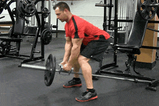 杠铃片|如何练厚背阔肌内侧？强化训练这4个动作，让你的背部肌肉更强壮