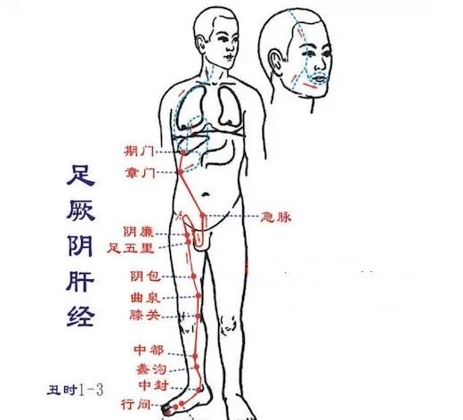  经上班时间|治百病经络大全：身体不舒服了，指导你拍哪条经络！疾病一扫光